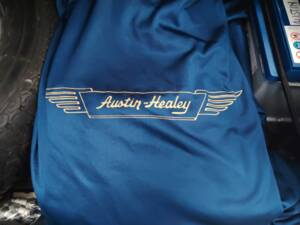 Imagen 58/72 de Austin-Healey 100/6 (BN4) (1957)