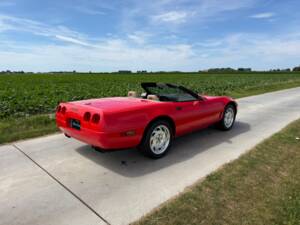 Imagen 6/43 de Chevrolet Corvette Convertible (1995)