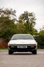 Image 17/50 of Triumph TR 7 Europa (1981)
