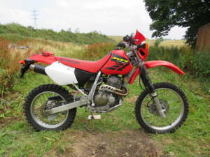 Image 1/43 de Honda DUMMY (2002)