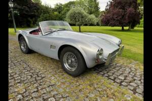 Bild 2/24 von AC Cobra 289 (2001)