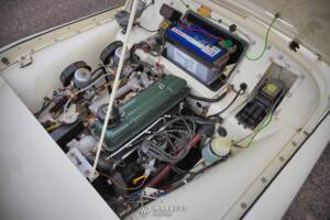 Bild 25/59 von Triumph TR 2 (1955)