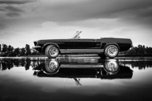 Image 14/36 of Ford Mustang 289 GTA (1967)