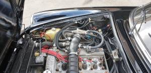 Image 17/32 of Alfa Romeo Spider Veloce (1987)