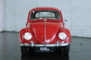 Immagine 5/50 di Volkswagen Beetle 1200 Export &quot;Dickholmer&quot; (1963)