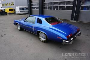 Afbeelding 5/58 van Pontiac GTO (1973)