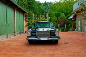 Imagen 8/199 de Mercedes-Benz 280 SE 3,5 (1971)