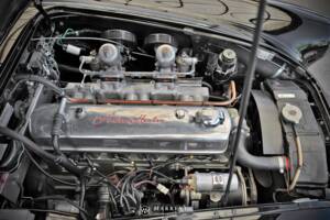 Immagine 22/68 di Austin-Healey 3000 Mk I (BT7) (1959)