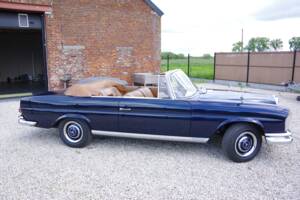 Afbeelding 4/32 van Mercedes-Benz 250 SE (1967)