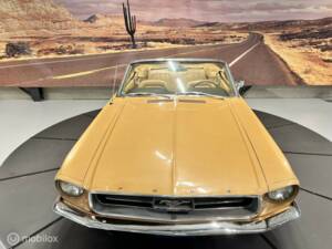 Immagine 11/46 di Ford Mustang 390 (1967)
