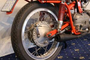Image 6/27 of Aermacchi Ala Verde (1962)