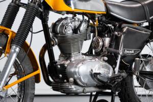 Immagine 43/50 di Ducati 250 Scrambler (1971)