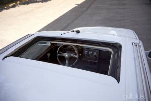 Immagine 44/50 di Alfa Romeo 33 - 1.7 Permanent 4 (1994)