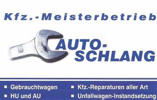 Auto Schlang