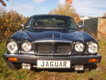 Jaguar XJ 12