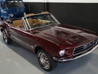 Ford Mustang Classic Cars For Trader Ford Mustang 289
