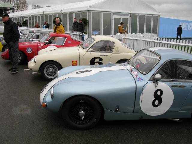Speedwell GT