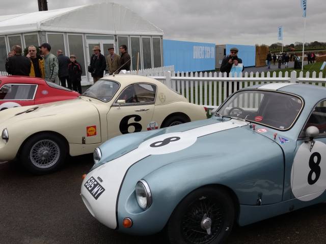Speedwell GT