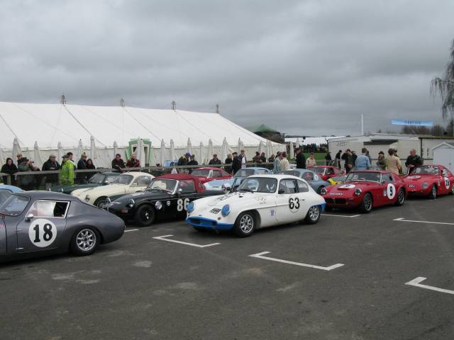 Speedwell GT