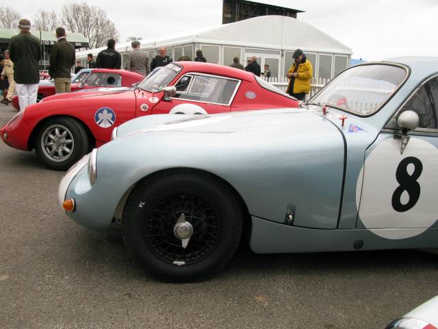 Speedwell GT