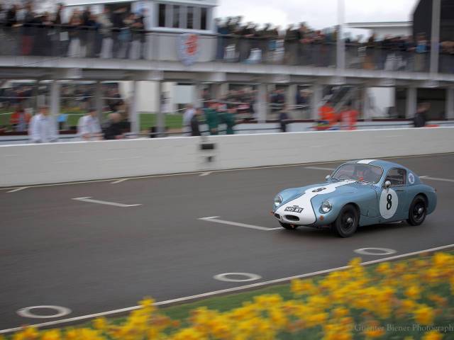 Speedwell GT