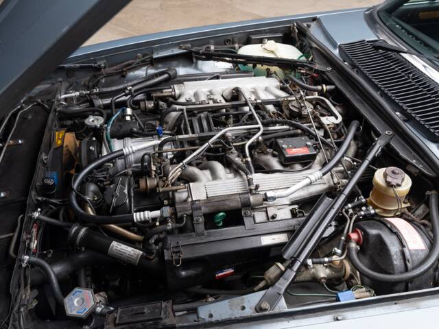 Jaguar XJ-S V12 Lynx Eventer