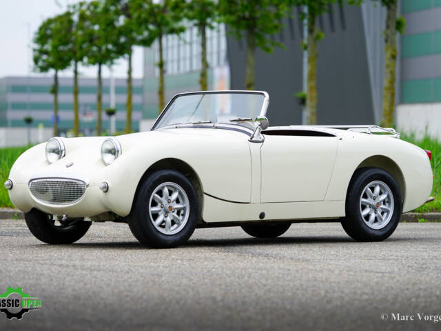 Imagen 1/40 de Austin-Healey Sprite Mk I (1958)