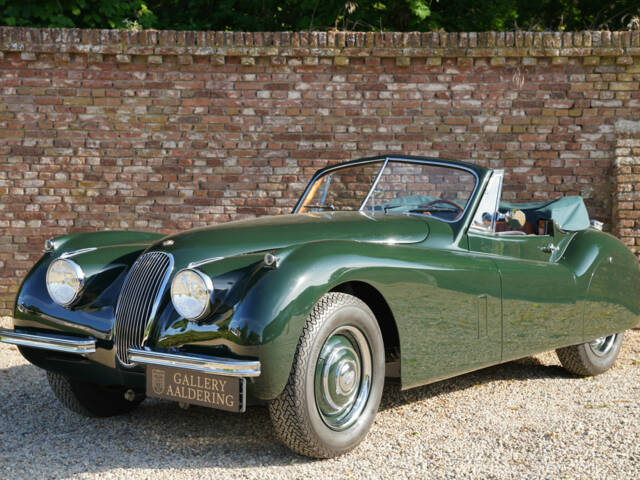 Image 1/50 of Jaguar XK 120 SE DHC (1953)