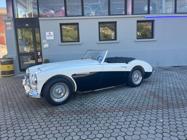 Image 1/22 de Austin-Healey 100&#x2F;6 (BN4) (1957)