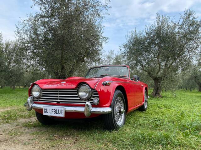 Imagen 1/33 de Triumph TR 4A IRS (1966)