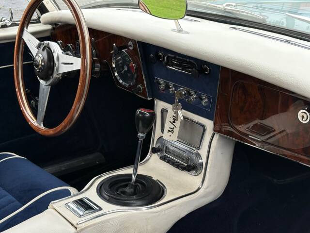 Austin-Healey 3000 Mk III (BJ8)