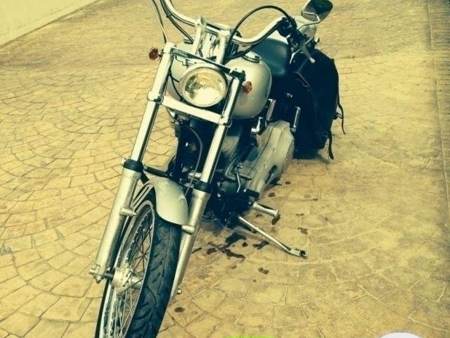 Bild 1/6 von Harley-Davidson DUMMY (2001)