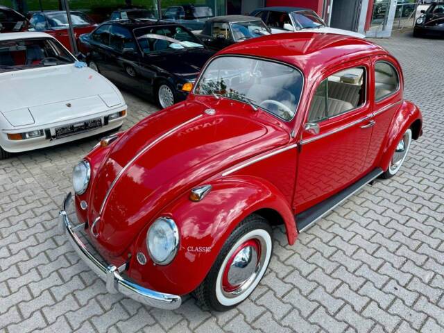 Bild 1/16 von Volkswagen Kever 1200 Standard &quot;Dickholmer&quot; (1960)