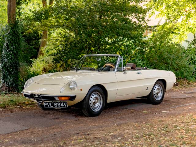 Bild 1/50 von Alfa Romeo 2000 Spider Veloce (1980)
