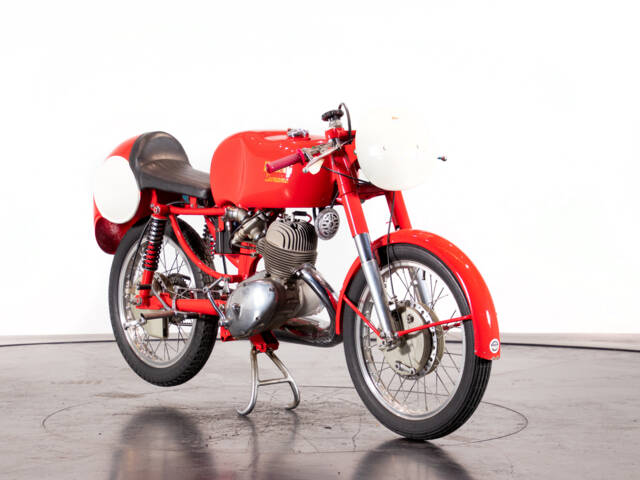 Benelli Leoncino Bassotto