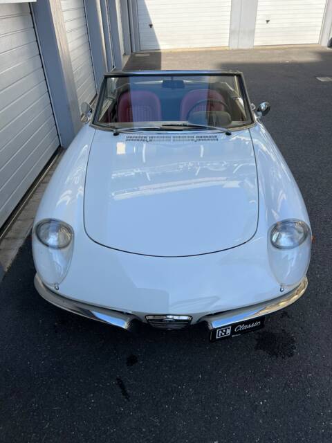 Alfa Romeo 1300 Spider Junior