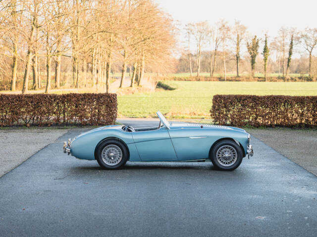 Austin-Healey 100/4 (BN1)