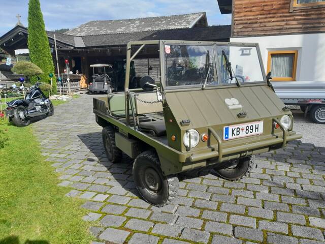 Afbeelding 1/9 van Steyr-Puch Haflinger (1969)