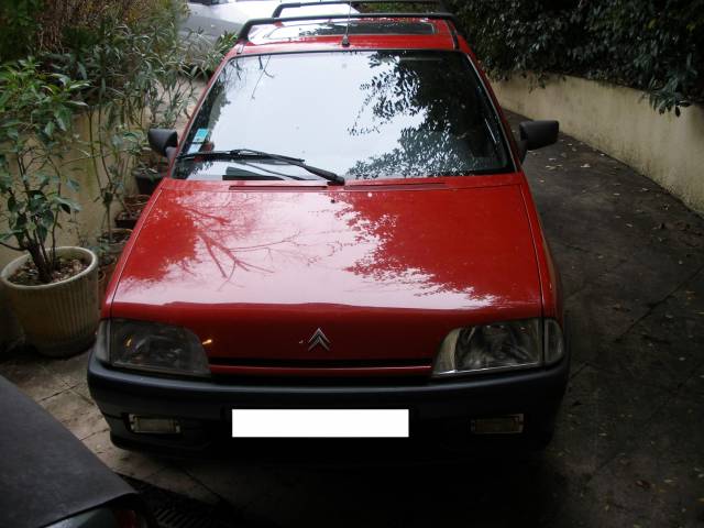 Afbeelding 1/7 van Citroën AX 4x4 (1992)