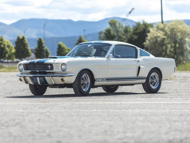 Image 1/45 of Ford Shelby GT 350 (1966)