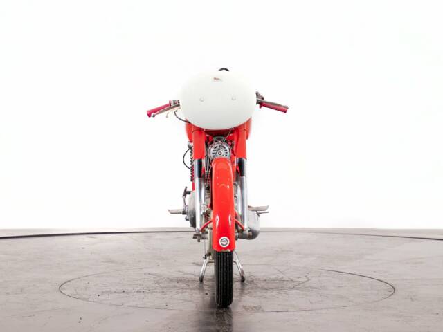 Benelli Leoncino Bassotto