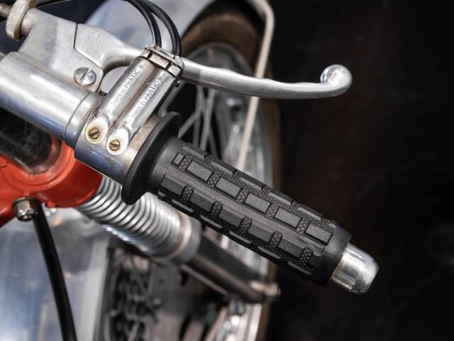 Berneg Fario 175