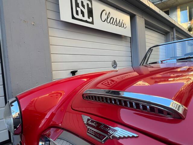 Austin-Healey 3000 Mk III (BJ8)
