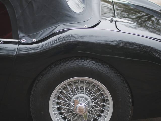 Austin-Healey 100/4 (BN2)
