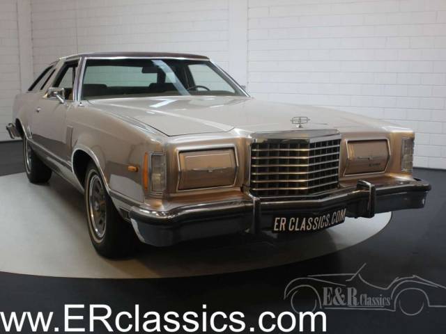 Afbeelding 1/30 van Ford Thunderbird (1978)