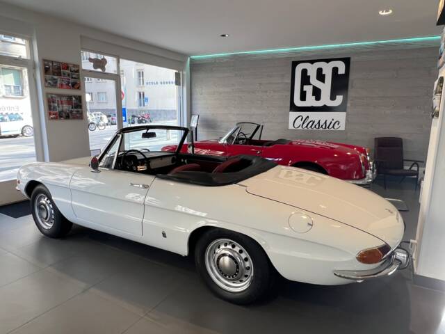 Alfa Romeo 1300 Spider Junior