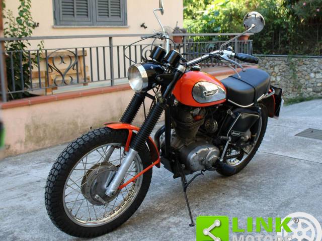 Bild 1/10 von Ducati DUMMY (1970)
