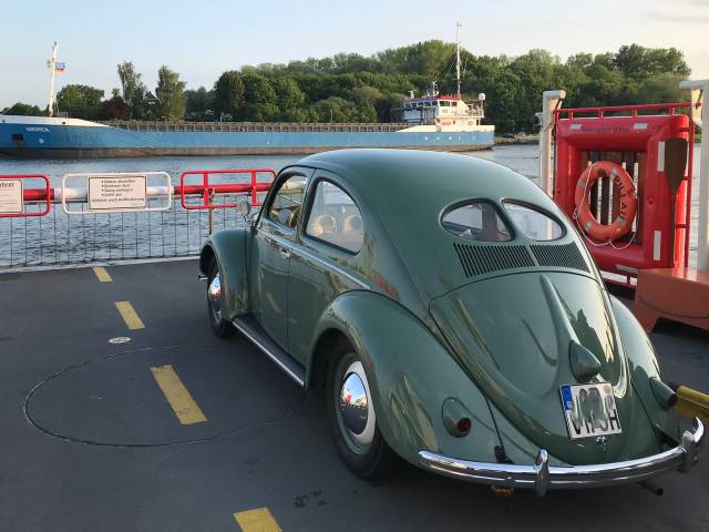 Afbeelding 1/38 van Volkswagen Beetle 1100 Export (Brezel) (1951)