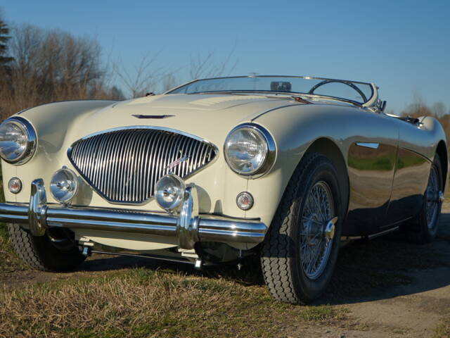 Austin-Healey 100/4 (BN2)