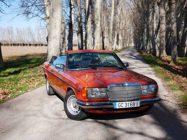 Image 1/29 de Mercedes-Benz 230 C (1977)